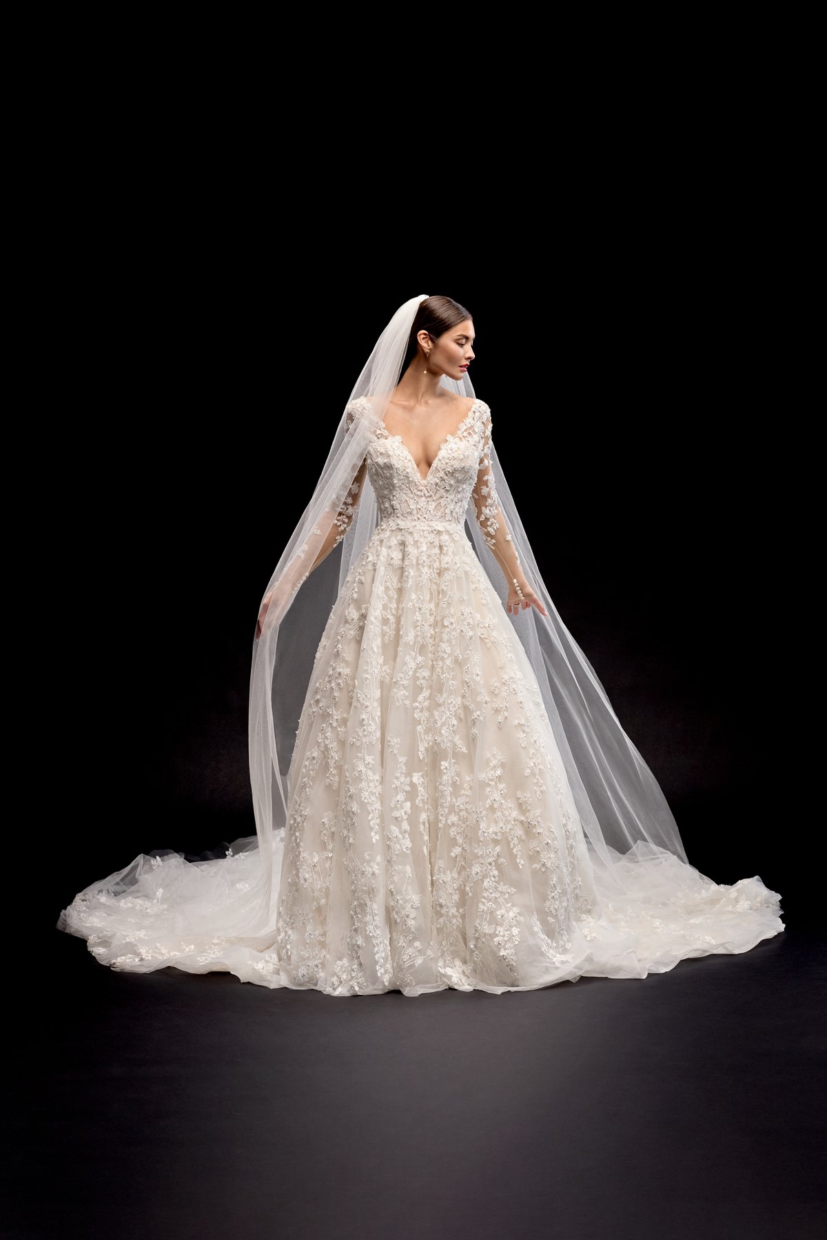 CELSA: Long Sleeve A-Line Gown with Sheer Bodice and Deep V