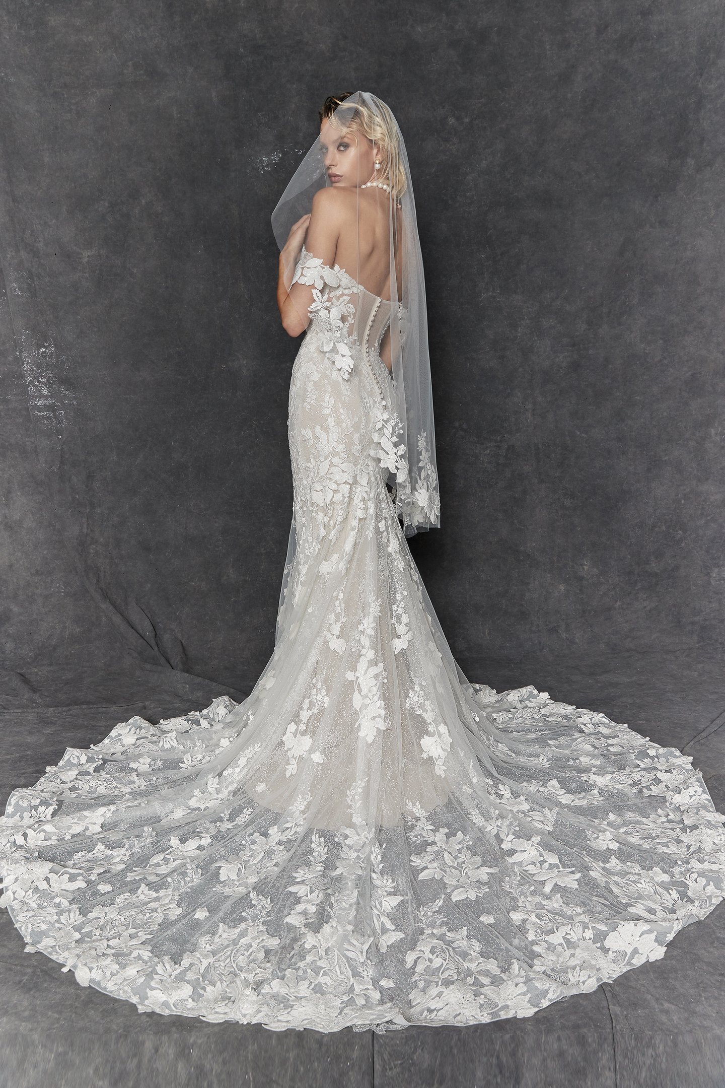 Justin Alexander Signature Style 99260 Taranto Lace Fit and Flare Wedding Gown with Detachable Straps
