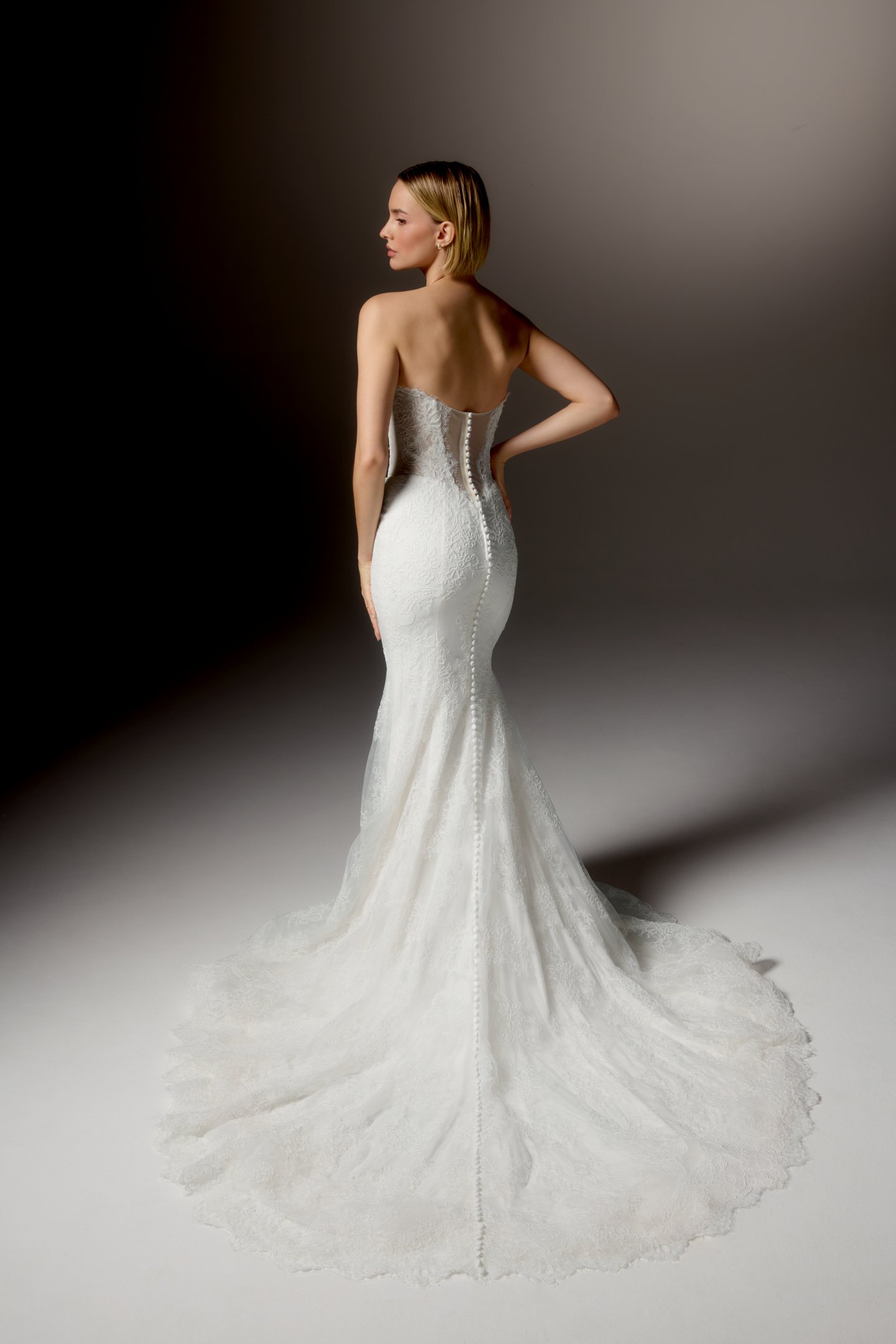 Justin Alexander Signature Style 99411 EIRENE Matte Allover Corded Lace Fit and Flare Gown with Strapless Scalloped Neckline and Sheer Bodice