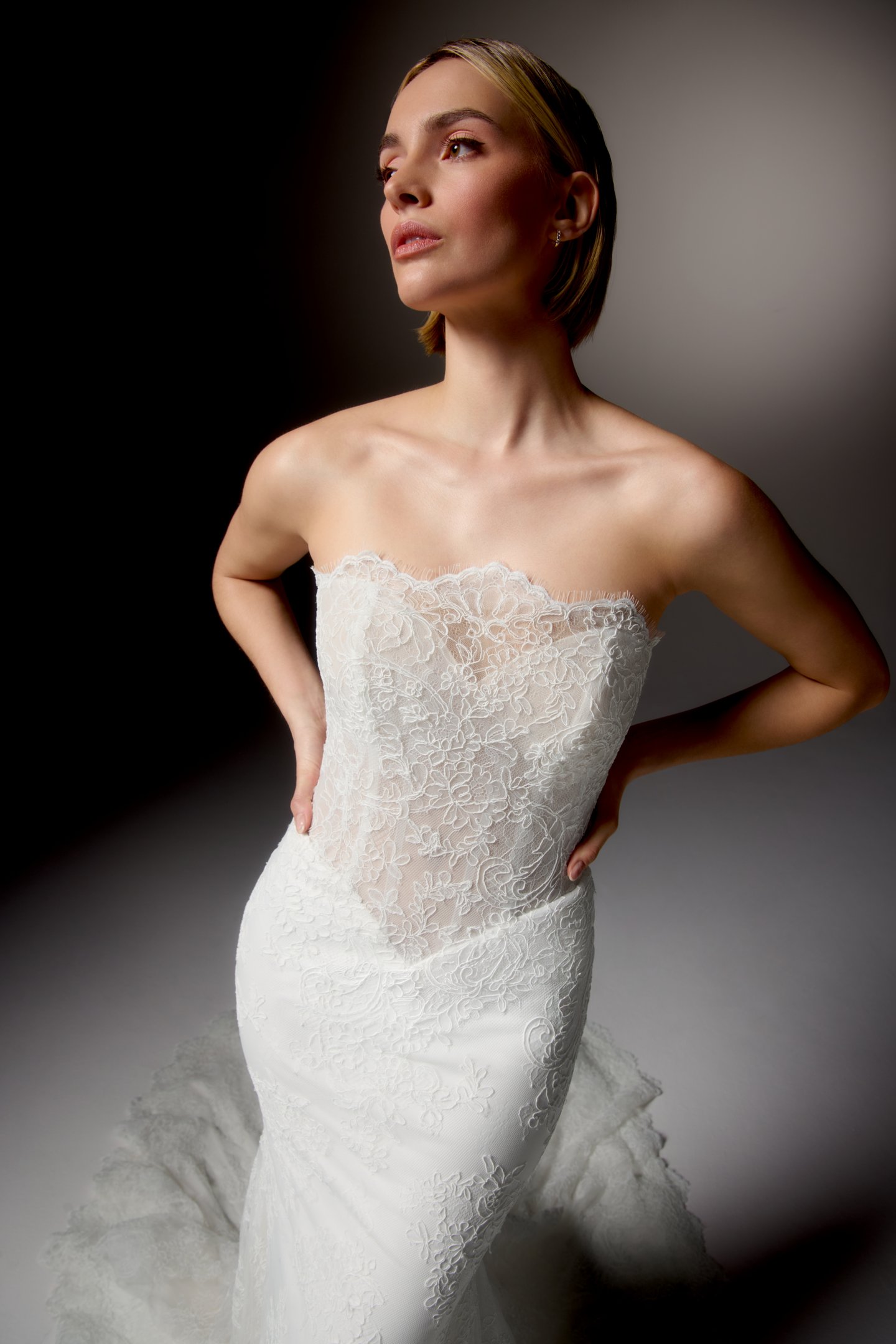Justin Alexander Signature Style 99411 EIRENE Matte Allover Corded Lace Fit and Flare Gown with Strapless Scalloped Neckline and Sheer Bodice