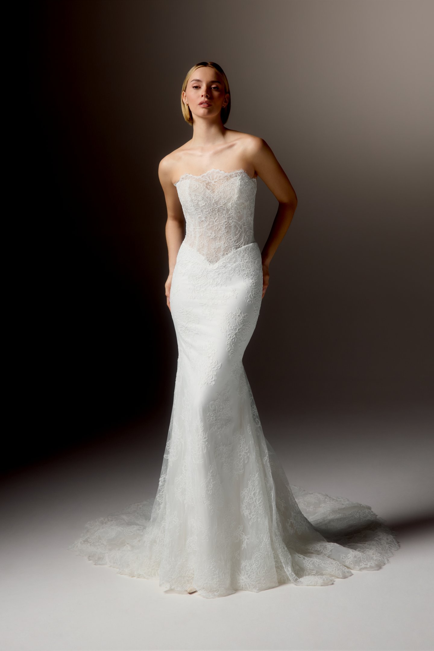 Justin Alexander Signature Style 99411 EIRENE Matte Allover Corded Lace Fit and Flare Gown with Strapless Scalloped Neckline and Sheer Bodice