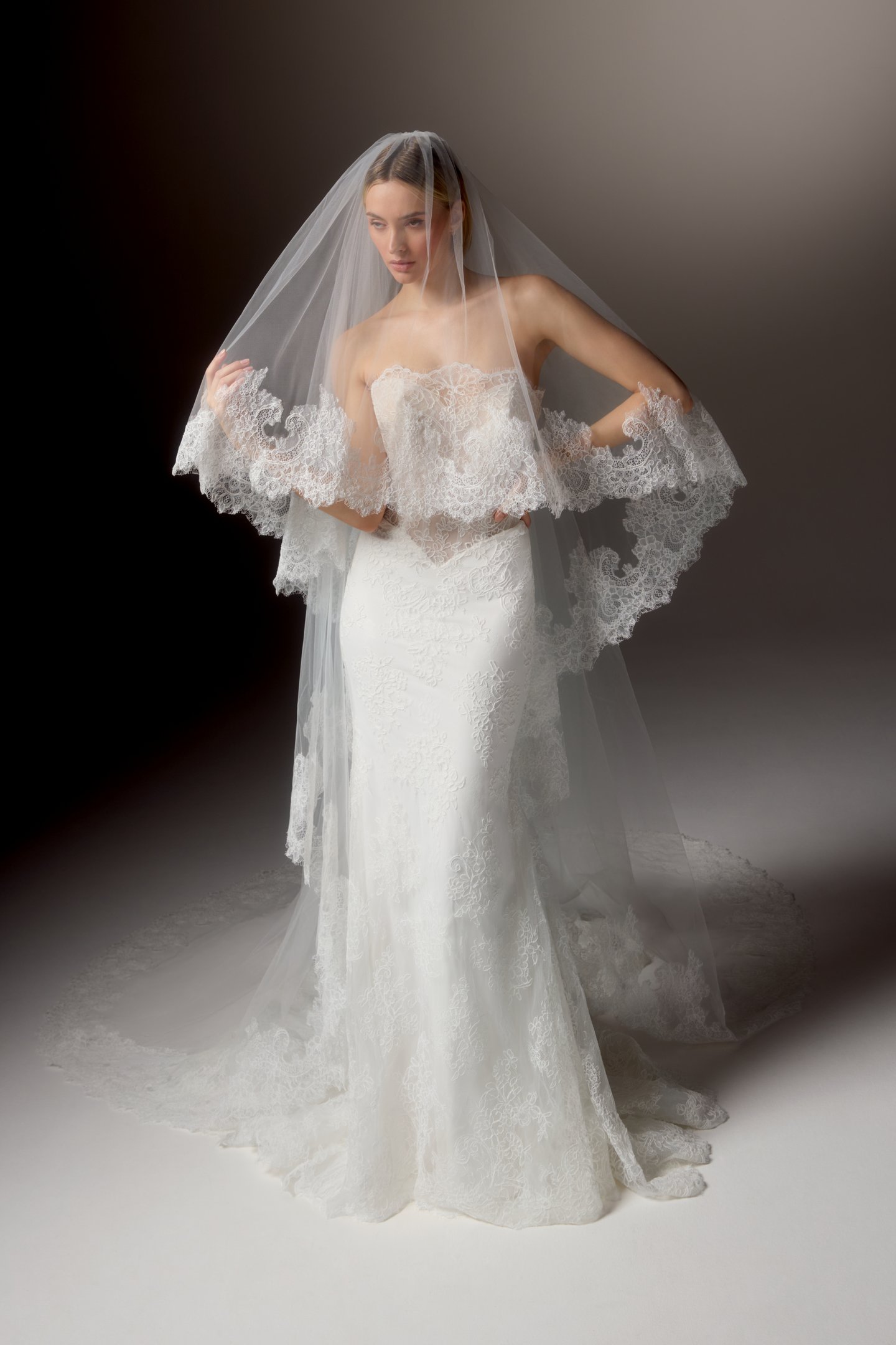 Justin Alexander Signature Style 99411 EIRENE Matte Allover Corded Lace Fit and Flare Gown with Strapless Scalloped Neckline and Sheer Bodice