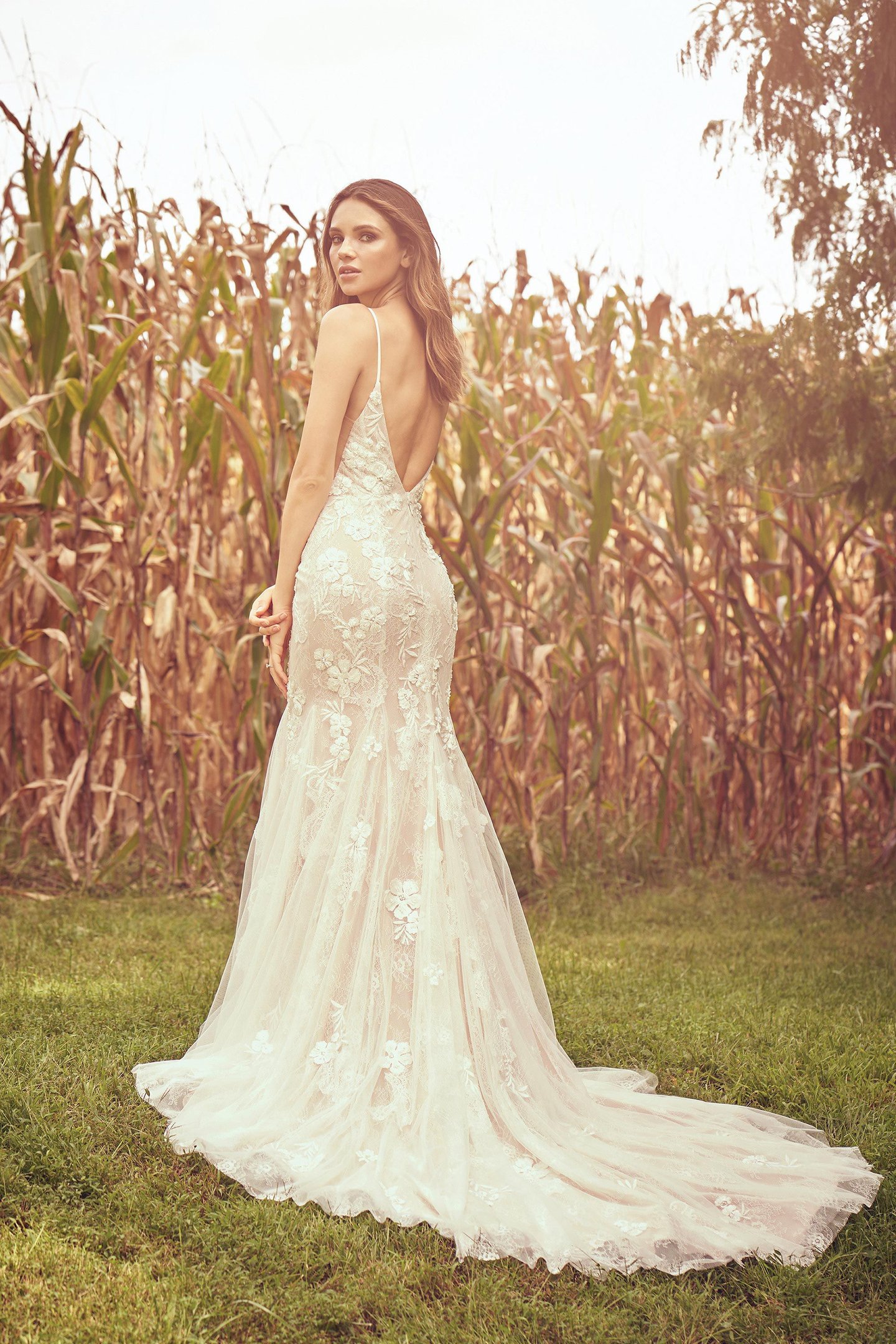 Lillian West Style 66075 Beaded Venice and Chantilly Lace Fit and Flare Gown