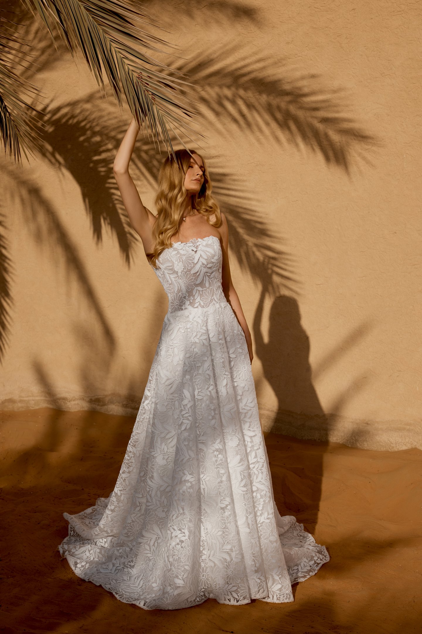 Lillian West Style 66485 Allover Lace A-Line Gown with Sheer Bodice and Dropped Waistline