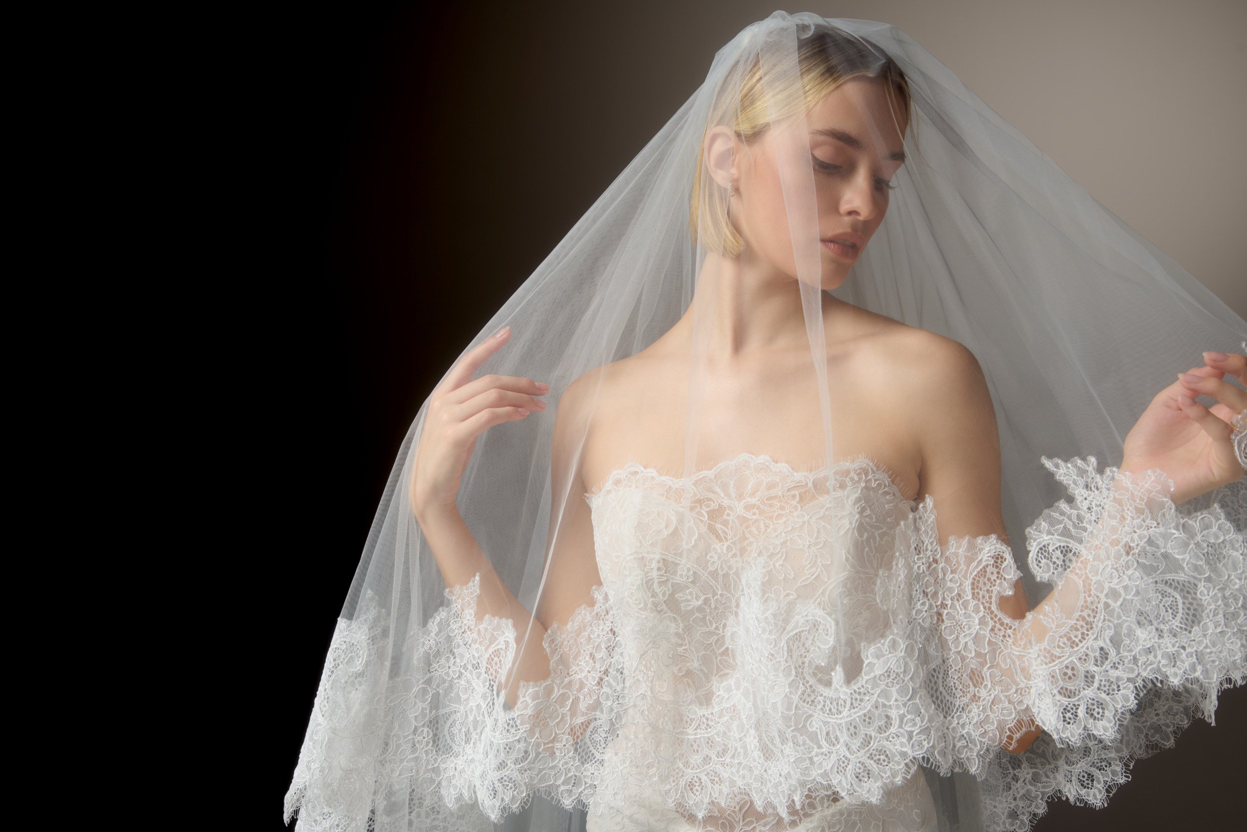Justin Alexander Signature Style 99411 EIRENE Matte Allover Corded Lace Fit and Flare Gown with Strapless Scalloped Neckline and Sheer Bodice
