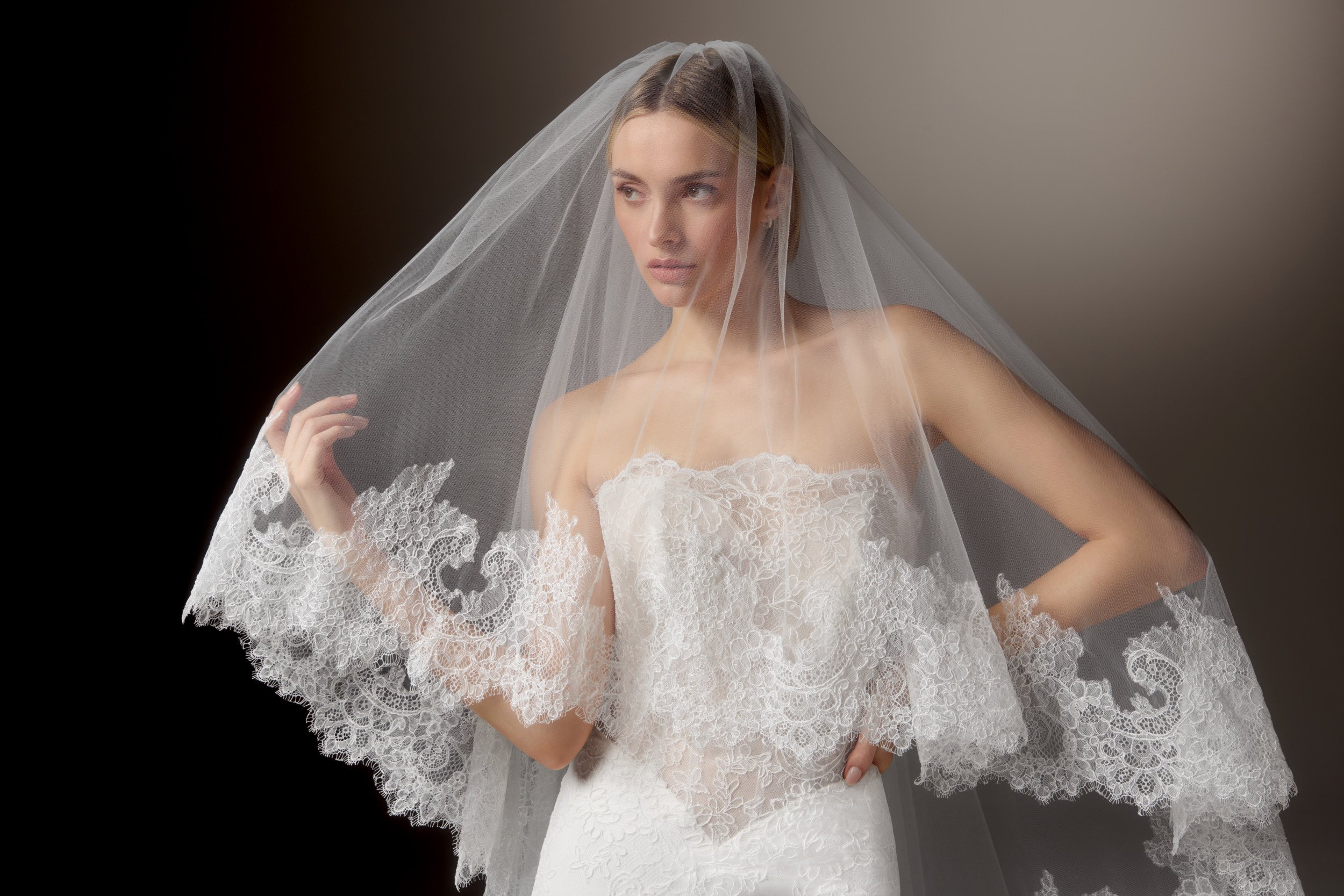 Justin Alexander Signature Style 99411 EIRENE Matte Allover Corded Lace Fit and Flare Gown with Strapless Scalloped Neckline and Sheer Bodice
