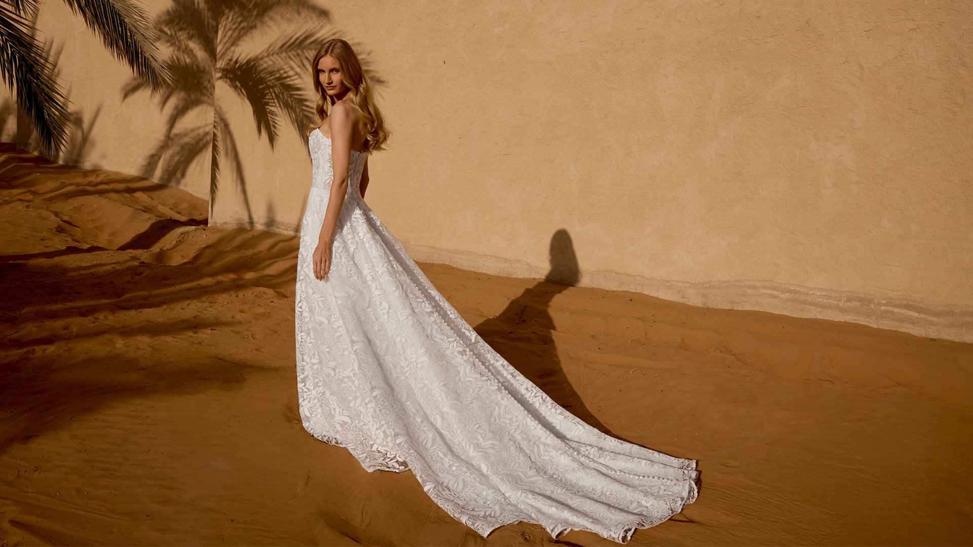 Lillian West Style 66485 Allover Lace A-Line Gown with Sheer Bodice and Dropped Waistline