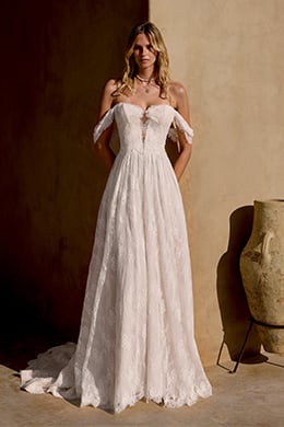 Lillian West Style 66459 Allover Matte Lace A-Line Gown with Plunging Neckline and Basque Waist