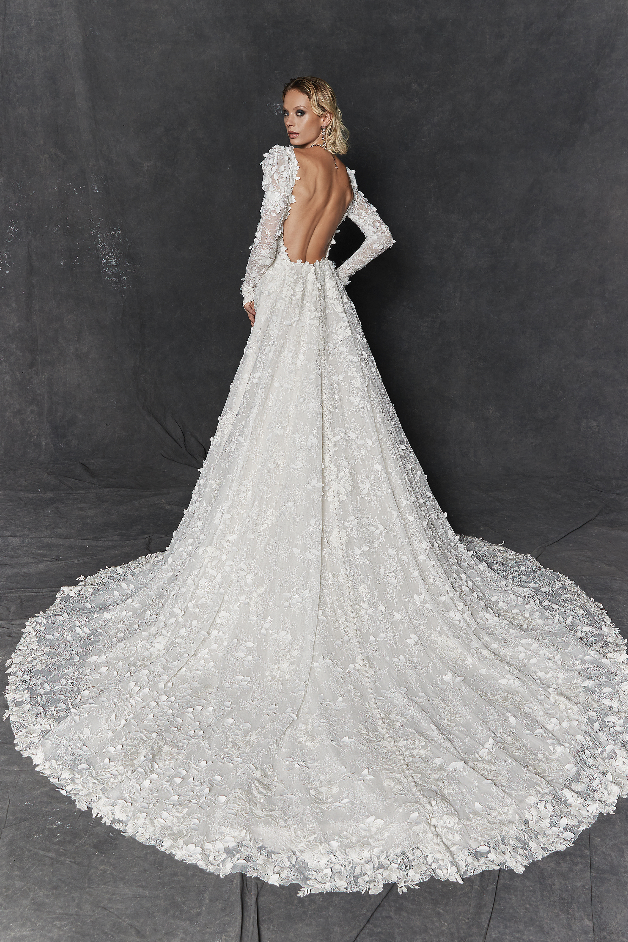 Justin Alexander Signature Style 99261 Cypress Chantilly Lace A-Line Gown with Long Sleeves and Low Back