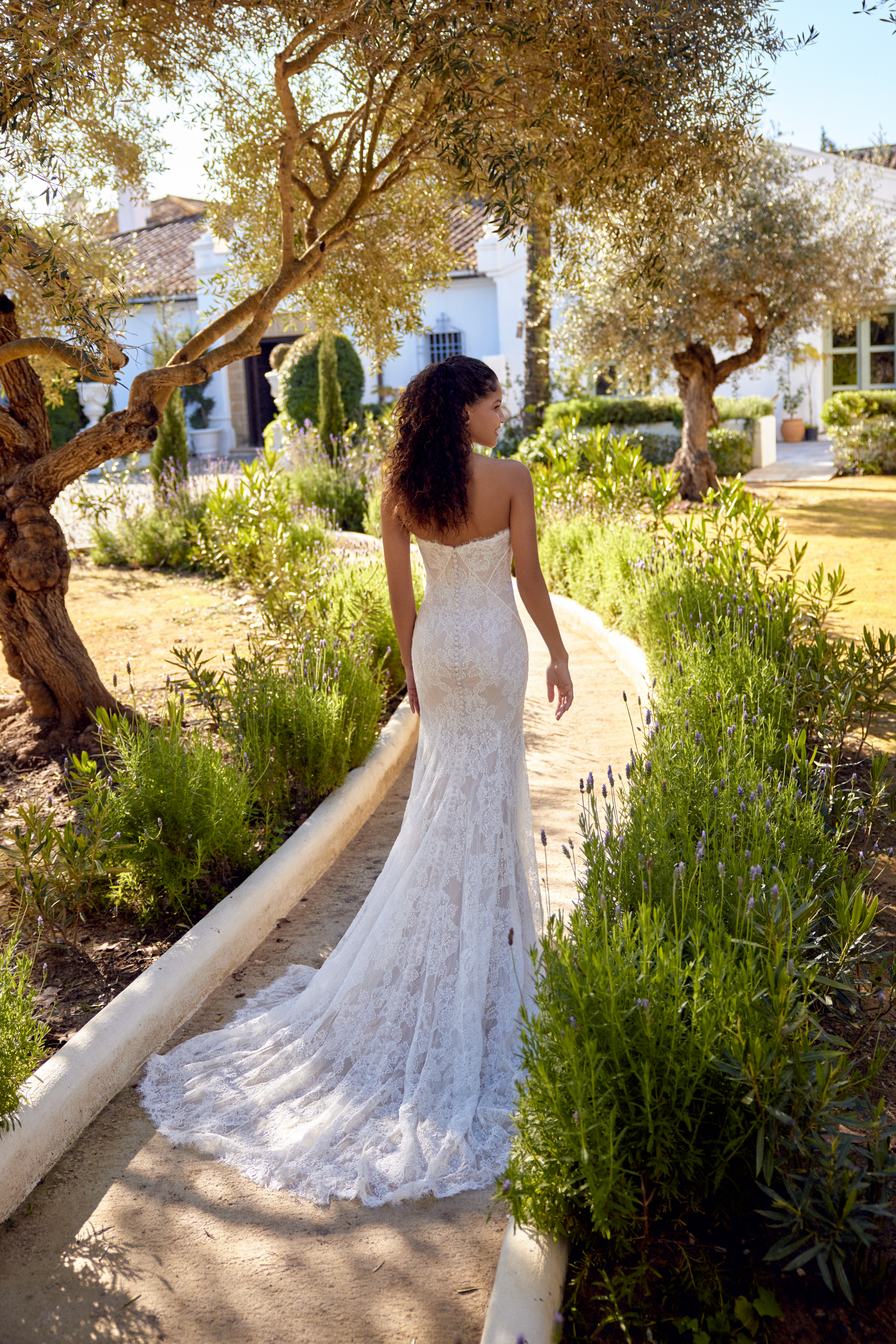 66365: Alençon Lace Fit and Flare Gown with Mandarin Neck and